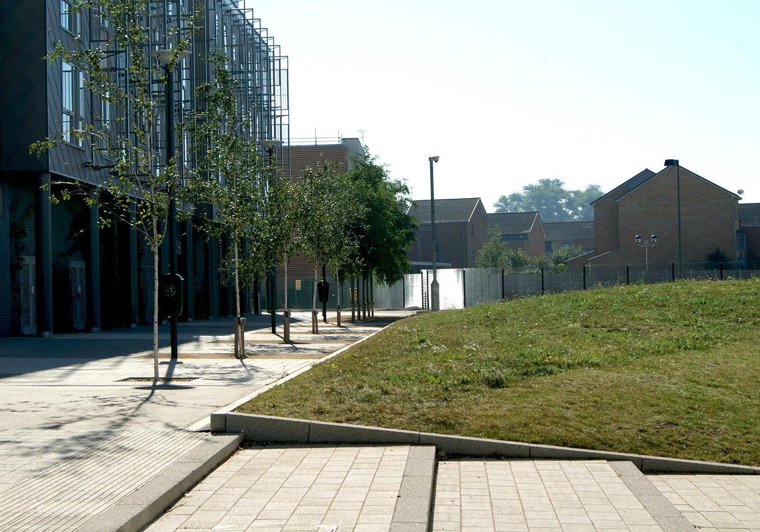 Projects-Education-UCS-StepsTrees-1500x1050